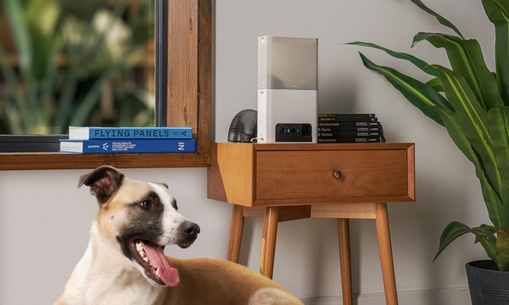 Pet Gadgets You Need at Your House in 2022