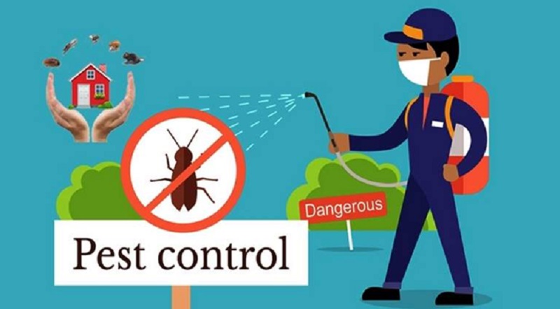 7 Tips For Pest Control in Cabarita Beach