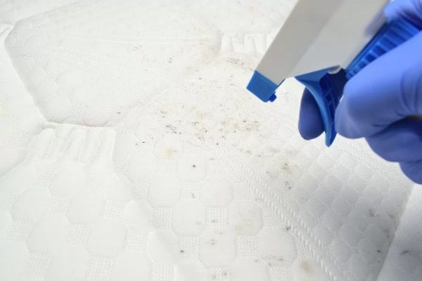 A Comprehensive Guide To Clean Your Mattress - The Hidden Homes