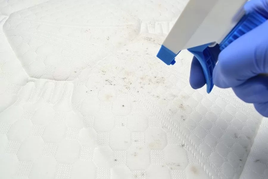 A Comprehensive Guide To Clean Your Mattress