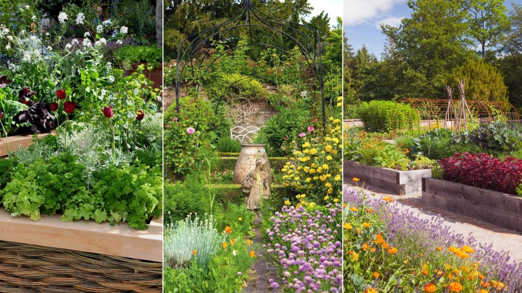 The mystery garden rules you might not be aware of
