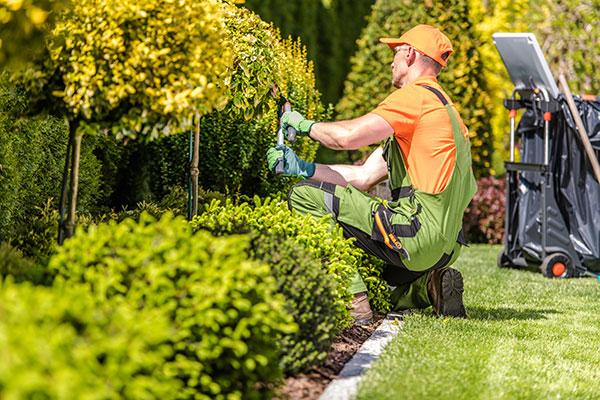 Tips To Hire The Best Landscape Contractor