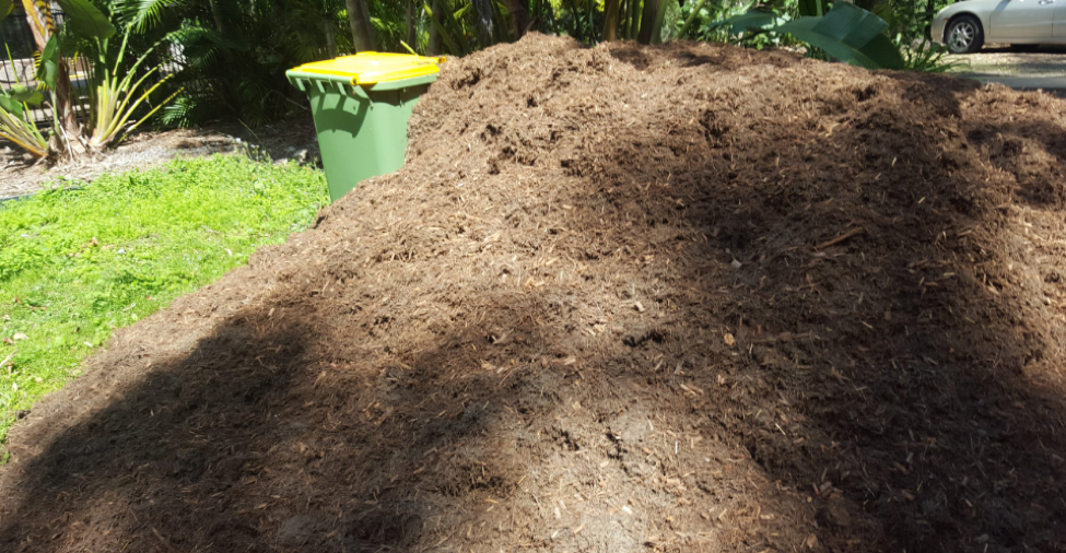 Unlocking the Secret of Gold Coast Mulch: A Game Changer for Your Garden