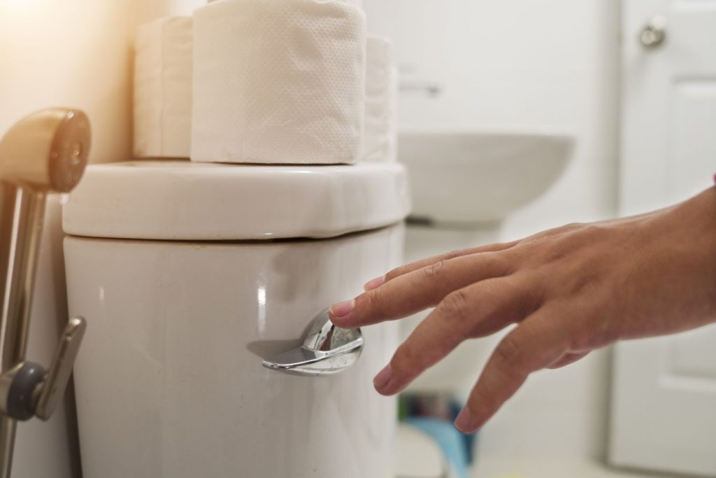 Unlocking the Mystery: Why Your Toilet Squeals When You Flush