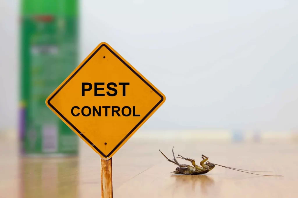 Ask these 5 questions to your pest controller before hiring them