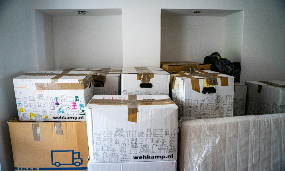 Practical Insights for Choosing Movers in Singapore