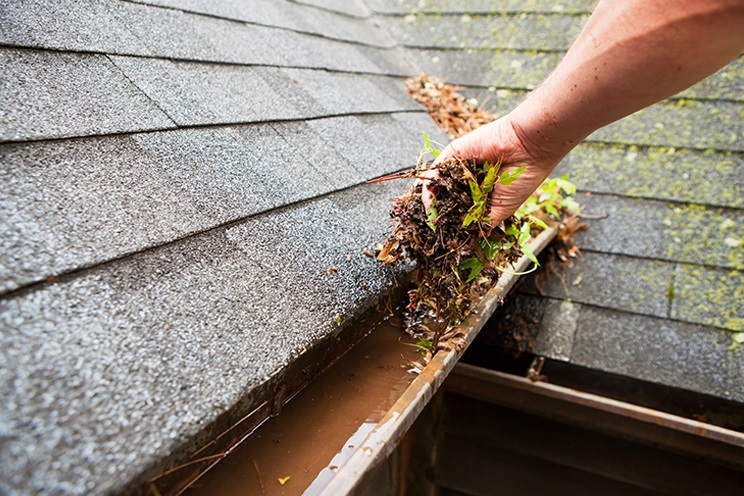 Why Madison Homeowners Are Choosing Gutter Guards for a Maintenance-Free Lifestyle
