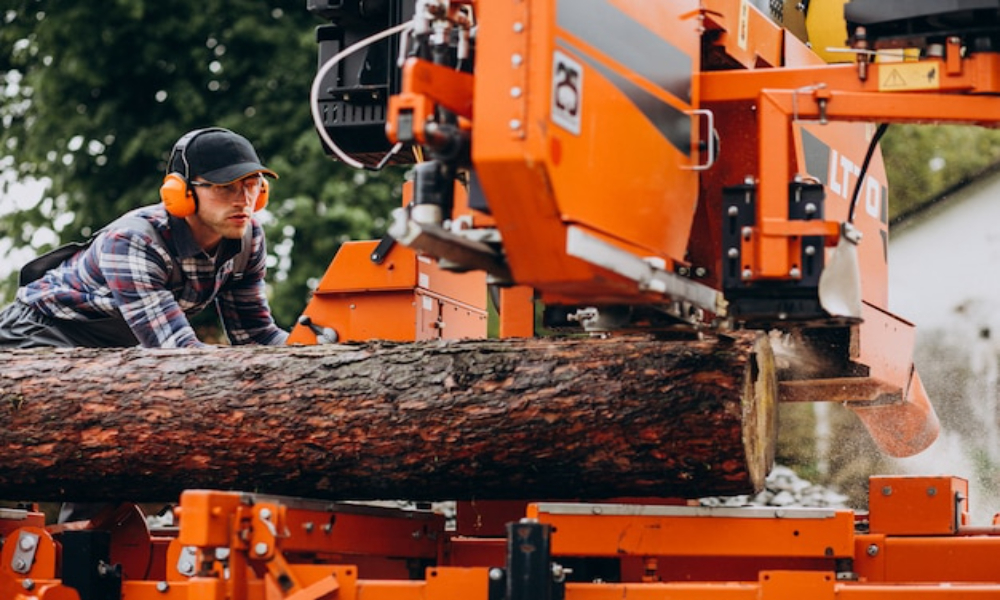 Why Professional Tree Surgeons Matter for Your Property