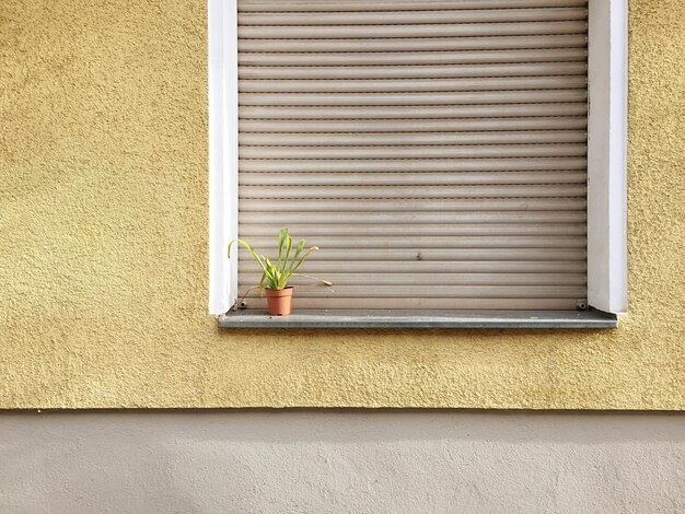 Upgrading Your Home’s Windows and Window Treatments