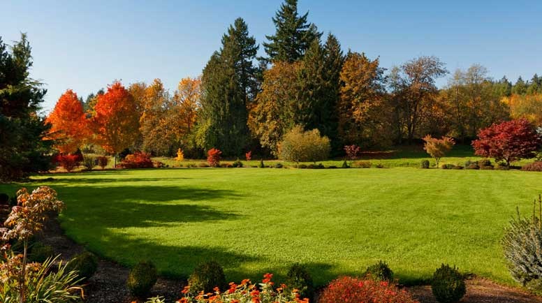 Green Dreams Realized with Landed Landscapes: Your Premier Lawn Care Solution