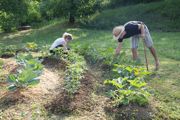 permaculture