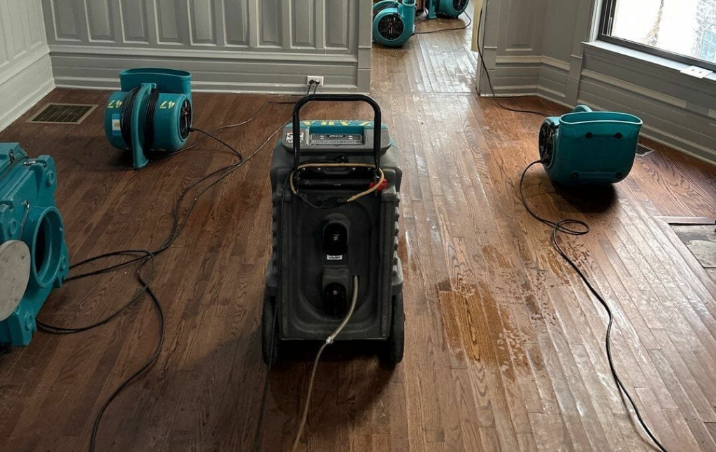 How to Handle Water Damage: Key Strategies for Emergency Restoration