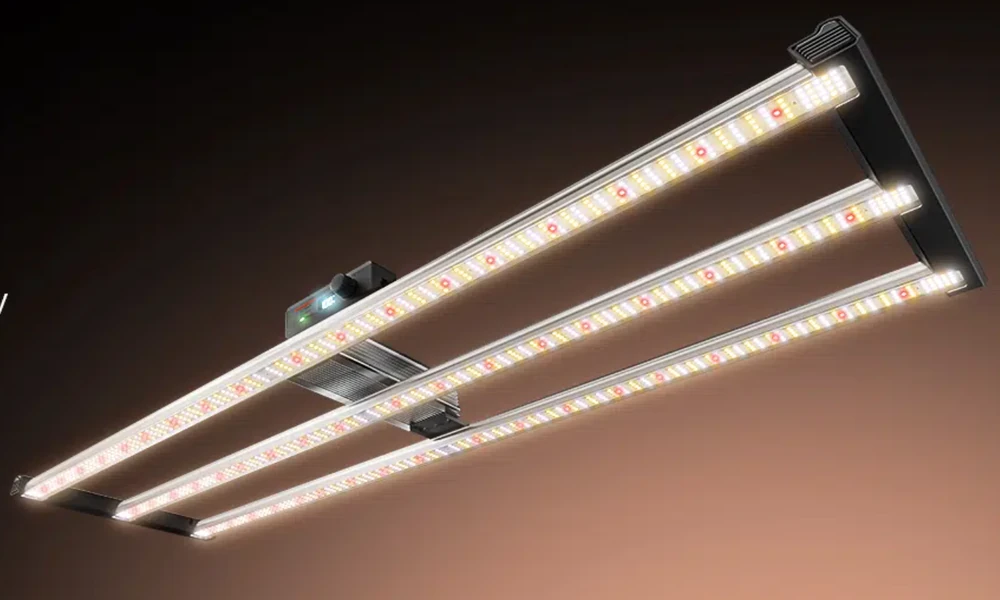 Midnight Sunbeams: The Quiet Magic of Indoor Gardens Thriving Under Full Spectrum LEDs